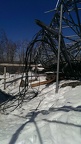 IMAG0763