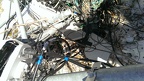 IMAG0779