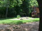 IMG 0118